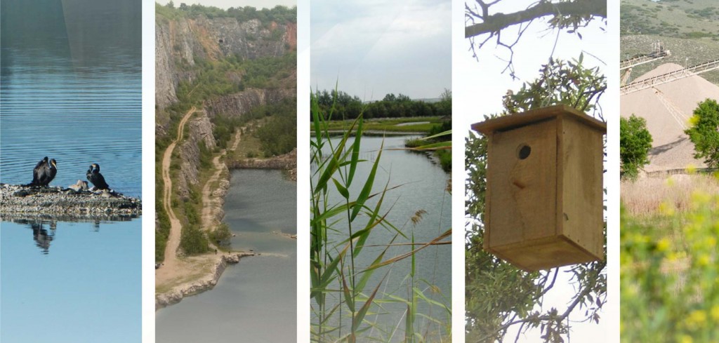 Programa del Foro Internacional Industria Extractiva y Natura 20